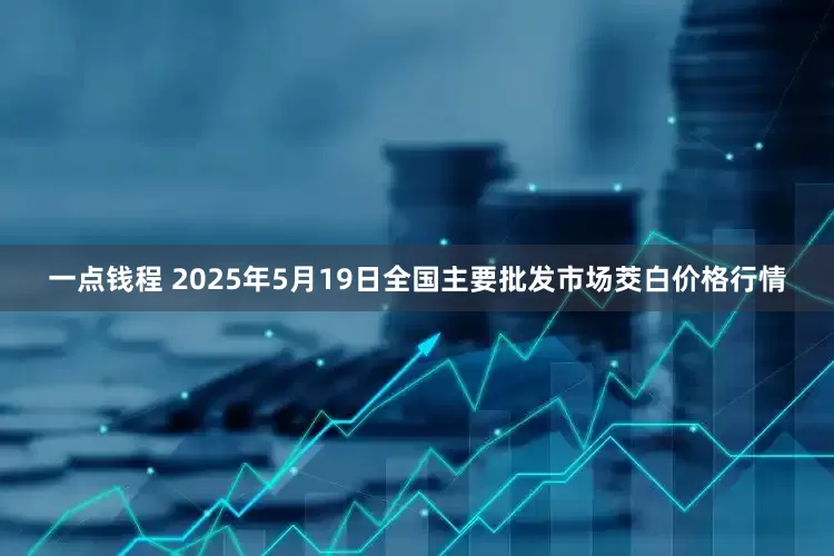 一点钱程 2025年5月19日全国主要批发市场茭白价格行情