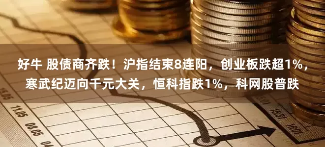 好牛 股债商齐跌！沪指结束8连阳，创业板跌超1%，寒武纪迈向千元大关，恒科指跌1%，科网股普跌